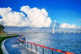 大洋湾最新爆料,最新爆料背后的惊人真相