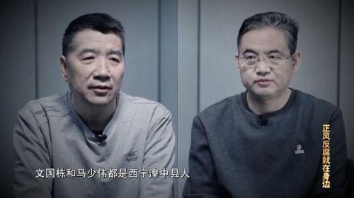 马少伟最新爆料新闻,揭秘娱乐圈惊人内幕