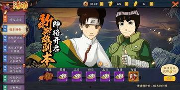 忍者副本爆料大全最新,最新爆料大全深度解析